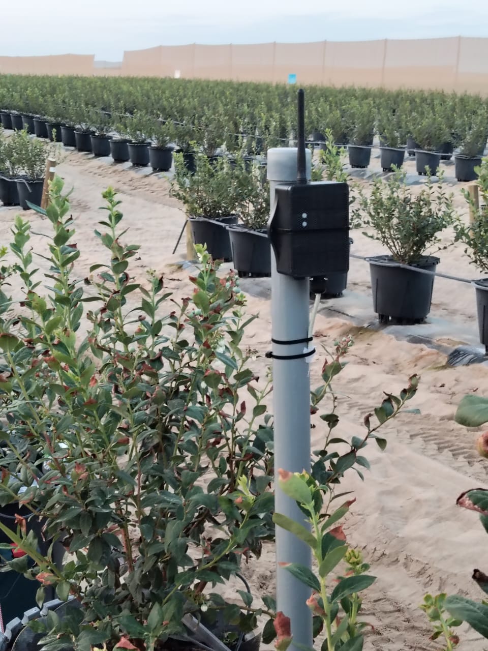 Celda robotica - vista general